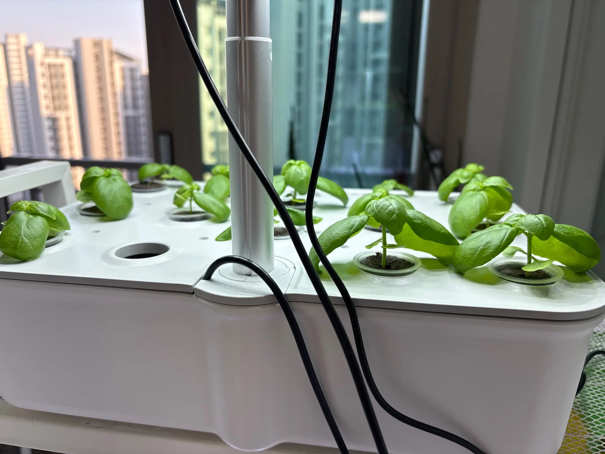 מערכת גידול הידרופונית חכמה עם WiFi, תאורת LED ומשאבה אוטומטית – תמונה 3